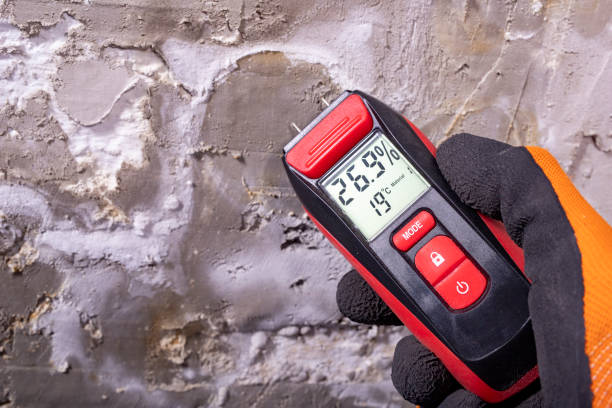 Howland Center, OH Mold Removal Company