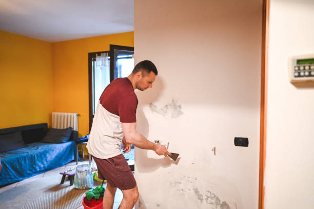 Attic Mold Removal in Howland Center, OH
